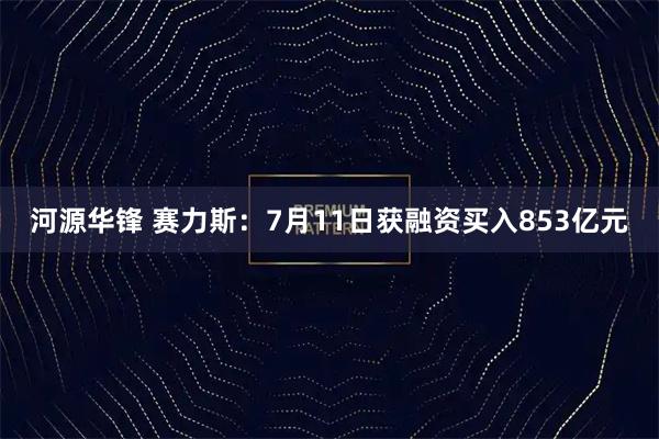 河源华锋 赛力斯：7月11日获融资买入853亿元
