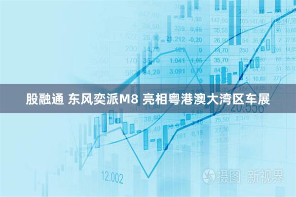 股融通 东风奕派M8 亮相粤港澳大湾区车展